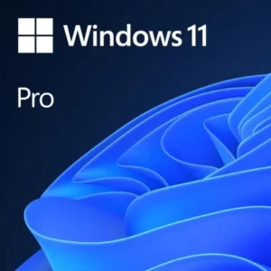 Microsoft Windows 11 Pro 64Bit OEM Descarga Digital
